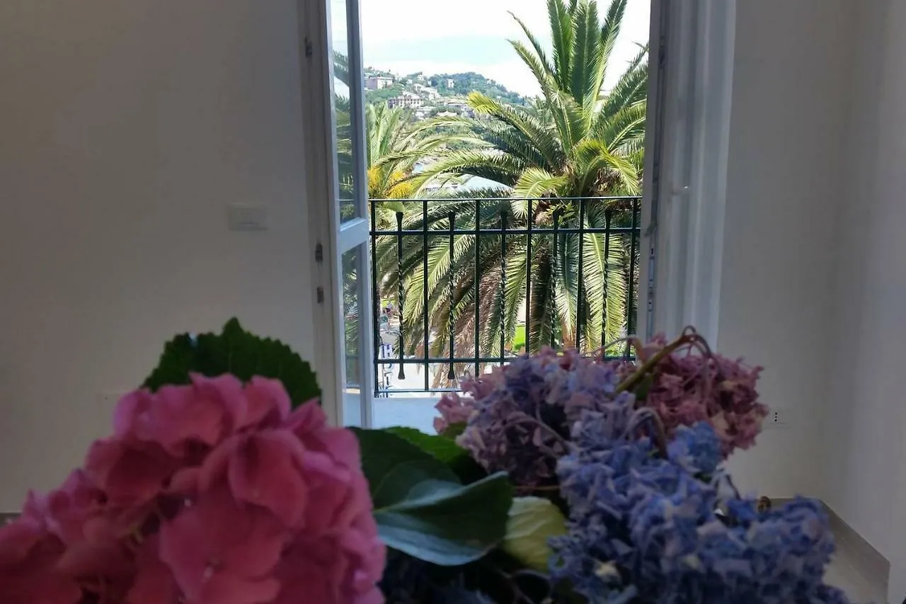 Blurapallo 0*, Rapallo